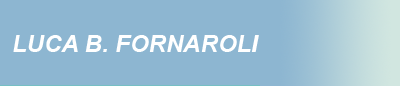 Luca Benvenuto Fornaroli - Management Consulting